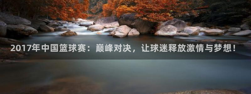 2017年中国篮球赛：巅峰对决，让球迷释放激情与梦想！