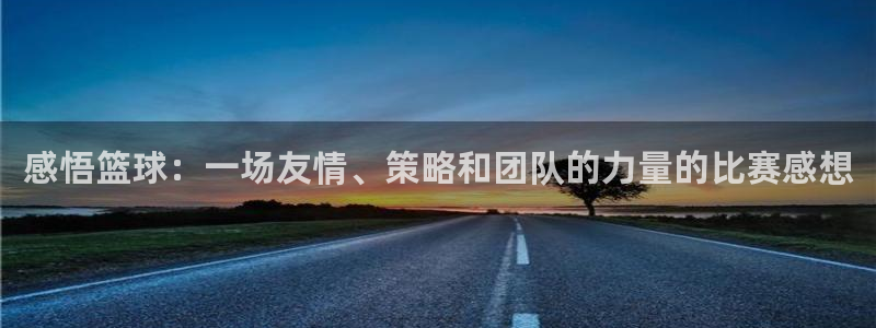 感悟篮球：一场友情、策略和团队的力量的比赛感想
