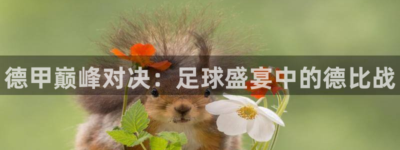 好博体育APP下载入口：德甲巅峰对决：足球盛宴中的德比战