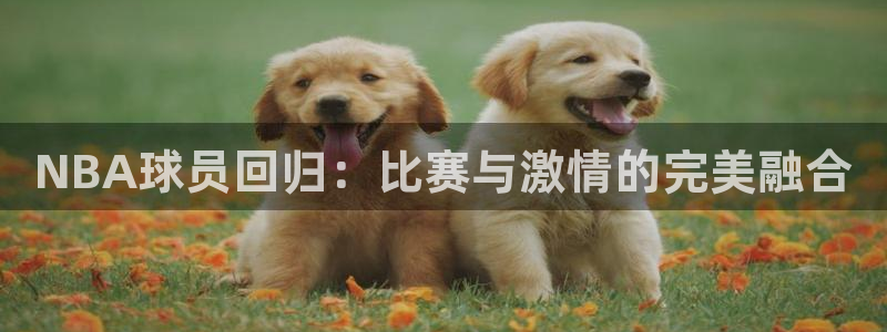好博体育里面的女主播：NBA球员回归：比赛与激情的完美融合