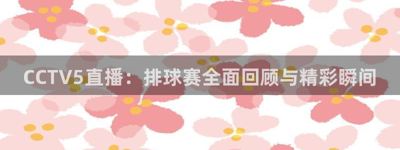 好博体育提款：CCTV5直播：排球赛全面回顾与精彩瞬间