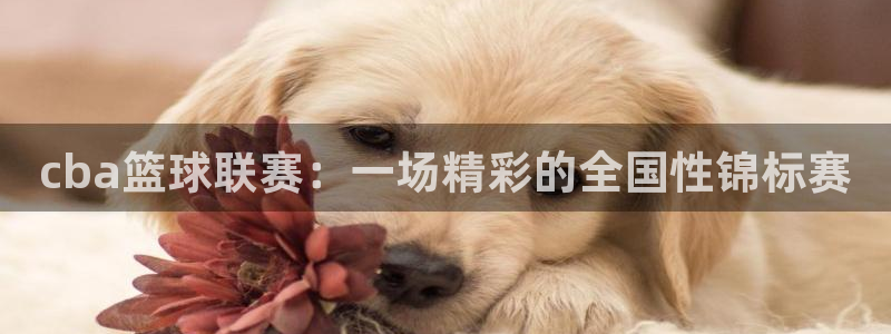好博体育平台入口：cba篮球联赛：一场精彩的全国性锦标赛