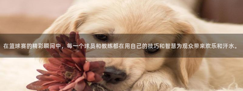 好博体育官方网站入口：在篮球赛的精彩瞬间中，每一个球员和教练