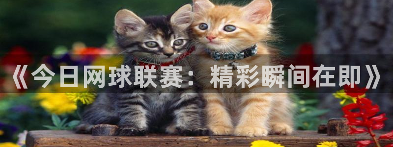 好博体育平台在线入口：《今日网球联赛：精彩瞬间在即》