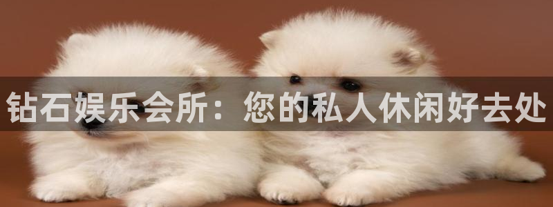 旺财28app下载：钻石娱乐会所：您的私人休闲好去处