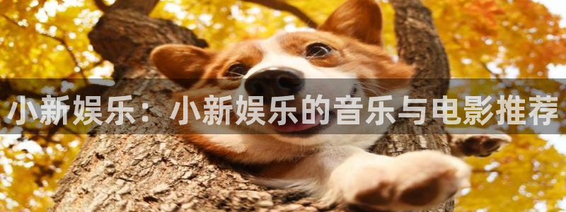 壹号国际app免费下载安装：小新娱乐：小新娱乐的音乐与电影推荐