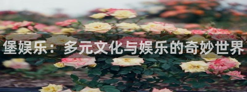 壹号电子娱乐app：堡娱乐：多元文化与娱乐的奇妙世界