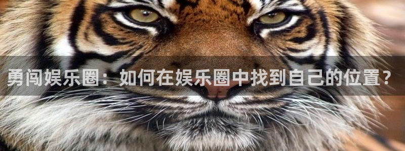 壹号app官方登录入口下载：勇闯娱乐圈：如何在娱乐圈中找到自己的位置？