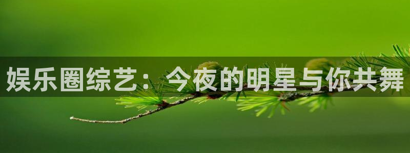 壹号电子娱乐app下载安装：娱乐圈综艺：今夜的明星与你共舞