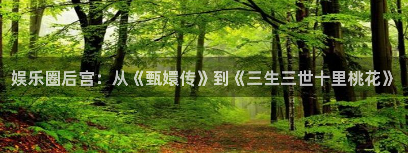 旺财28app下载安装最新版：娱乐圈后宫：从《甄嬛传》到《三生三世十里桃花》