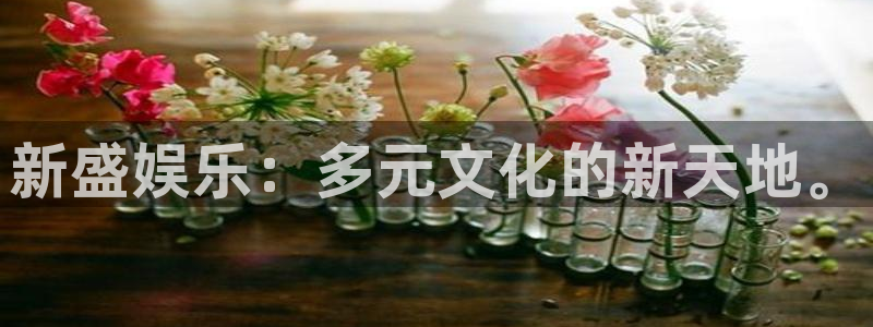 壹号平台娱乐：新盛娱乐：多元文化的新天地。