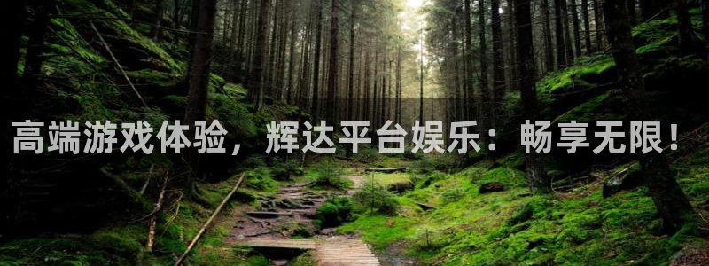 壹号电子娱乐app下载安装最新版本：高端游戏体验，辉达平台娱乐：畅享无限！