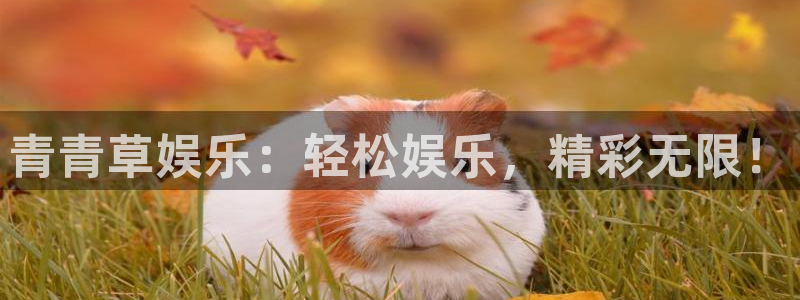 下载旺财28app：青青草娱乐：轻松娱乐，精彩无限！