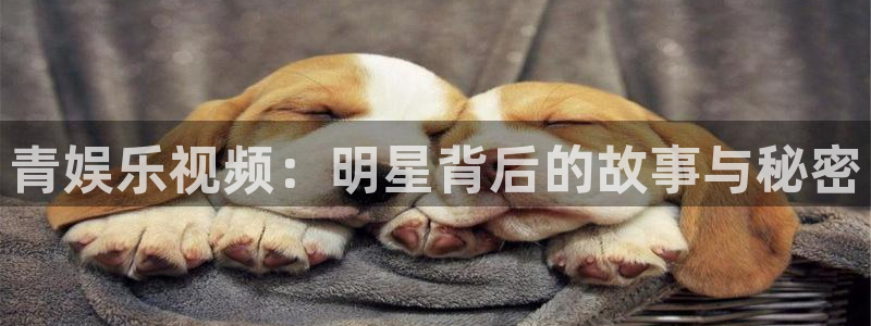 旺财28官网下载：青娱乐视频：明星背后的故事与秘密