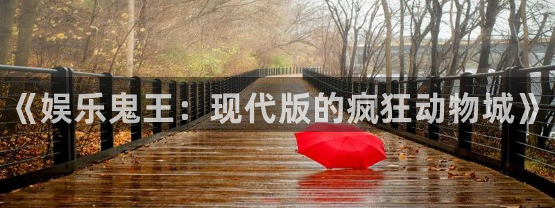 壹号app下载