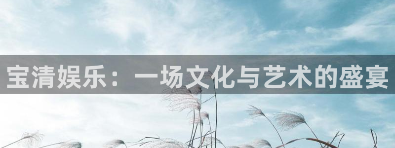 壹号大舞台有梦你就来：宝清娱乐：一场文化与艺术的盛宴