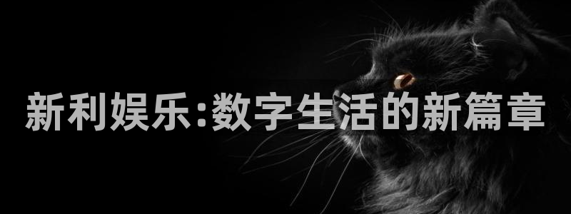 壹号平台下载安装官网：新利娱乐:数字生活的新篇章
