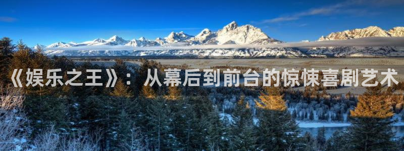 旺财28下载入口：《娱乐之王》：从幕后到前台的惊悚喜剧艺术
