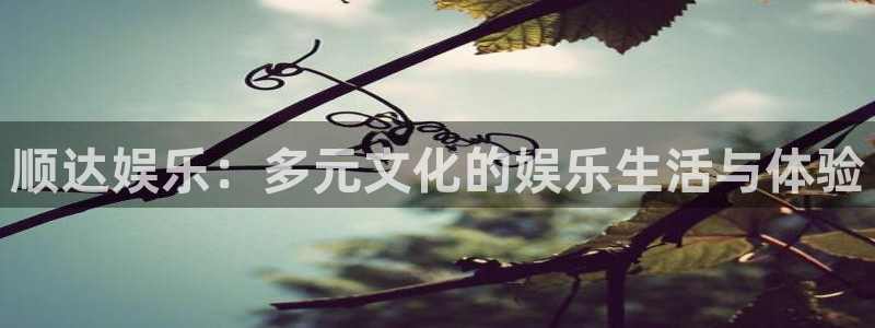 旺财28,com：顺达娱乐：多元文化的娱乐生活与体验