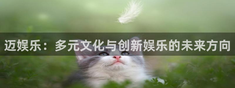 旺财28app下载安装：迈娱乐：多元文化与创新娱乐的未来方向