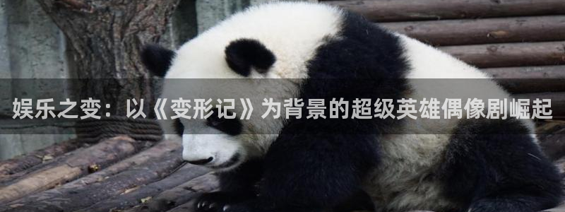壹号平台注册链接官网下载：娱乐之变：以《变形记》为背景的超级英雄偶像剧崛起