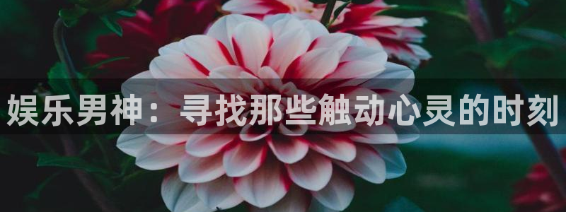 旺财28app下载：娱乐男神：寻找那些触动心灵的时刻