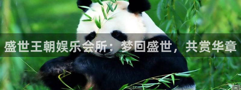 壹号电子娱乐app下载最新版：盛世王朝娱乐会所：梦回盛世，共赏华章