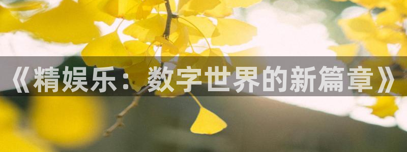 旺财28官网下载：《精娱乐：数字世界的新篇章》
