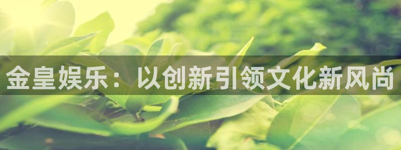 壹号大舞台下载：金皇娱乐：以创新引领文化新风尚
