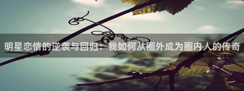 壹号电子娱乐app下载安装：明星恋情的逆袭与回归：我如何从圈外成为圈内人的传奇