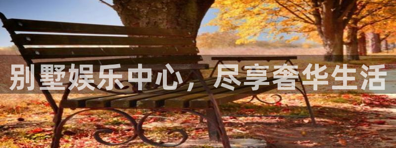 旺财28平台app下载：别墅娱乐中心，尽享奢华生活