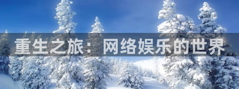 壹号平台下载：重生之旅：网络娱乐的世界