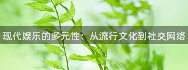 旺财28能退款吗：现代娱乐的多元性：从流行文化到社交网络