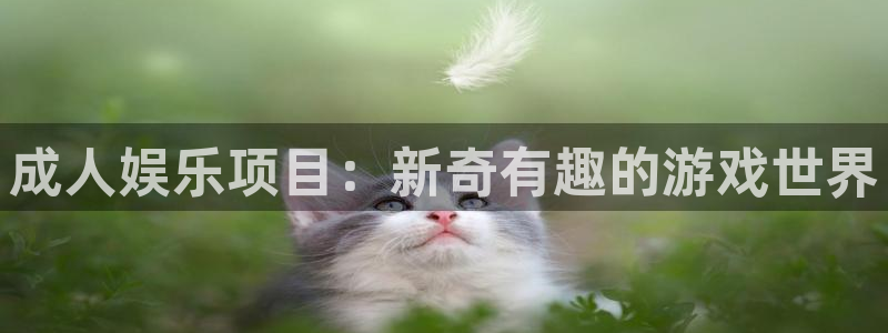 旺财28能退款吗：成人娱乐项目：新奇有趣的游戏世界