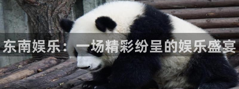 旺财28app下载安装：东南娱乐：一场精彩纷呈的娱乐盛宴
