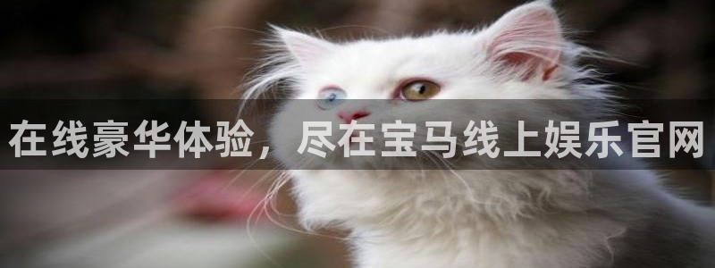 壹号大舞台网站：在线豪华体验，尽在宝马线上娱乐官网