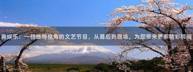 旺财28：青娱乐：一档独特视角的文艺节目，从幕后到现场，为您带来更多精彩瞬间