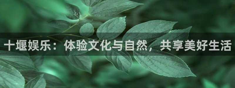 壹号电子娱乐app下载安装最新版本：十堰娱乐：体验文化与自然，共享美好生活