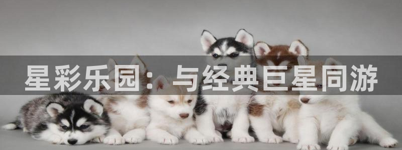 旺财28官网下载：星彩乐园：与经典巨星同游