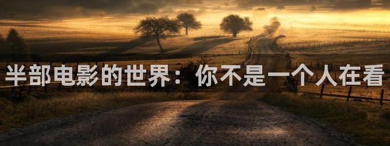 旺财28com：半部电影的世界：你不是一个人在看