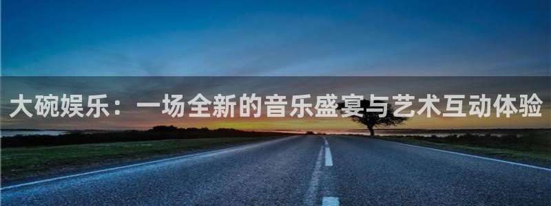 旺财28退款怎么退：大碗娱乐：一场全新的音乐盛宴与艺术互动体验