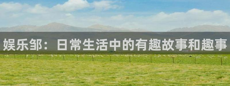 旺财28充值怎么退款：娱乐邹：日常生活中的有趣故事和趣事