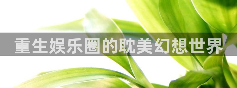 旺财28,apk.：重生娱乐圈的耽美幻想世界